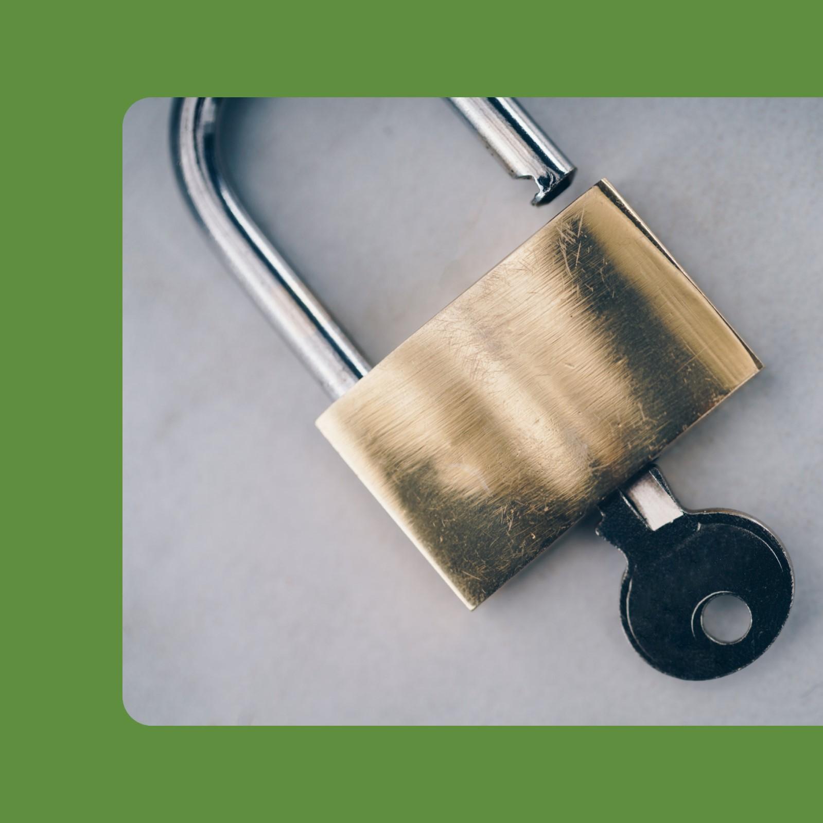 Shopify의 장점: 쇼피파이 브랜드 맞춤 디자인