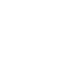 shinsegaeinternational